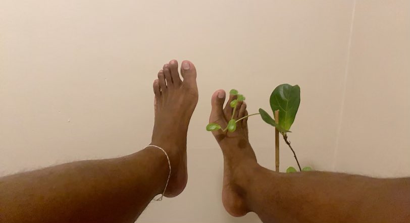 Derangedfootba1's tweet photo. #feet #feetworship #feetpics #cashmaster #domination #fiddletree #footplant They always fold for a green thumb. Just come suck my toes till the enamel comes off. https://t.co/yTD6prgaLK