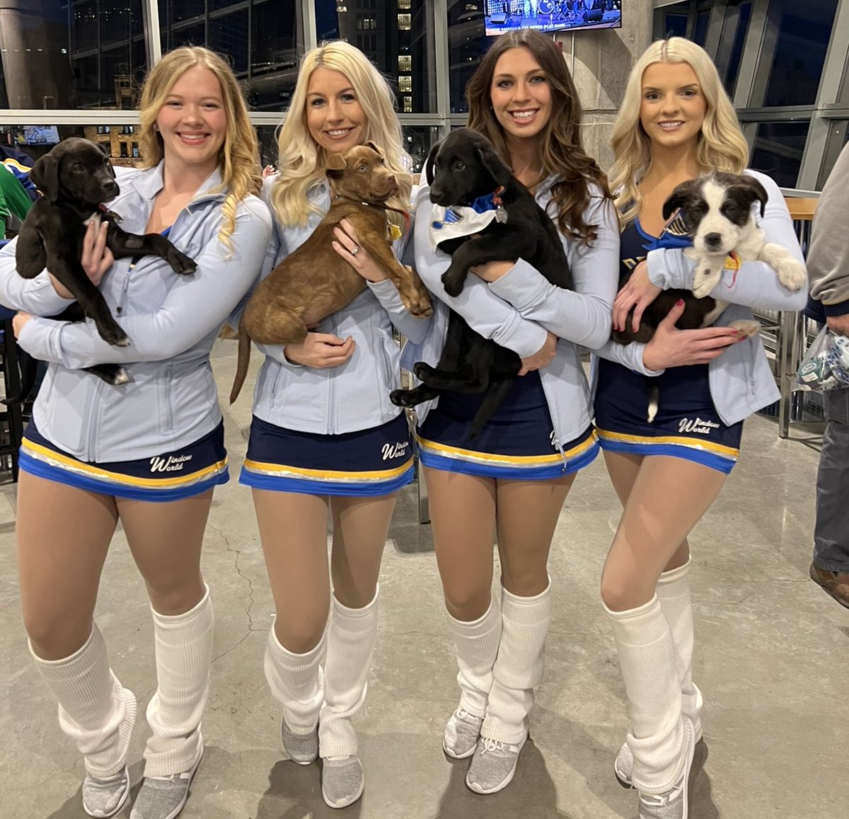 bbbbbaileyy's tweet photo. #314Day #STLsports #andpups https://t.co/xHztYEhhcB