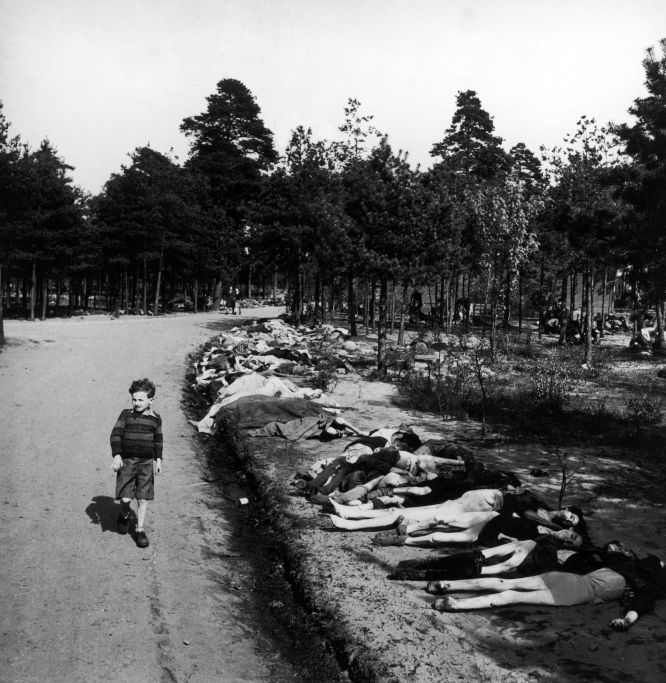 EfectoPrometeo's tweet photo. Foto histórica e impactante de un niño caminando en medio de cientos de fallecidos en el campo de concentración nazi Bergen-Belsen.

Autor investigación: @Shine_McShine
📸: George Rodger.
Fecha: 15 de abril de 1945.

#efectoprometeo #shinemcshine #fotohistorica #georgerodger https://t.co/Ri5qQJSVMS