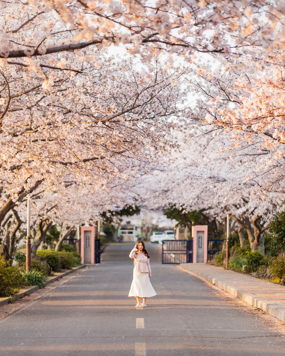 Gm🌸 The weather is getting warmer here in Korea. I’m so ready for Spring!

#photography #nftphotography