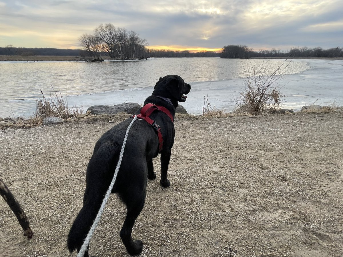PastorWarren14's tweet photo. Mondays are for the dogs 🐕- 3/14/22 https://t.co/n9QxvqDI88 via @YouTube #muddymondays #MondayMotivation #mondaythoughts #GodMorningMonday #dogsoftwitter #hikingadventures #gettingmuddy #Mondayvibes #2Cor5v21 https://t.co/qe05cFfwe3