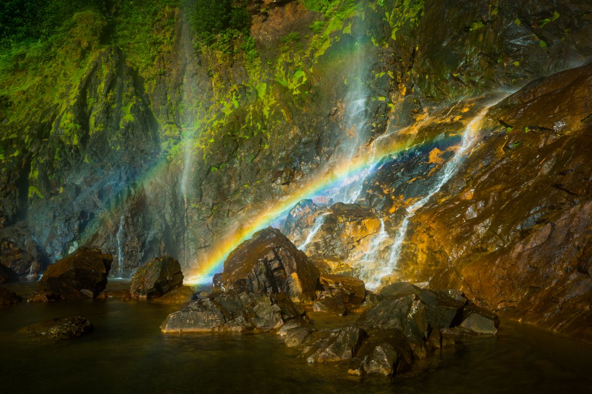 jayvingoh's tweet photo. The Rainbow Water fall in Sg Lembing, Malaysia

#NFTCommunity #NFTcollections #OpenSeaNFT #OpenSeaCommunity #OpenSeaPolygon #nft #nftphotography #rainbowwaterfall #sglembing #malaysia #hiddengem 
@opensea
 
https://t.co/8RCSvMSEtg https://t.co/GblV0ybxhp