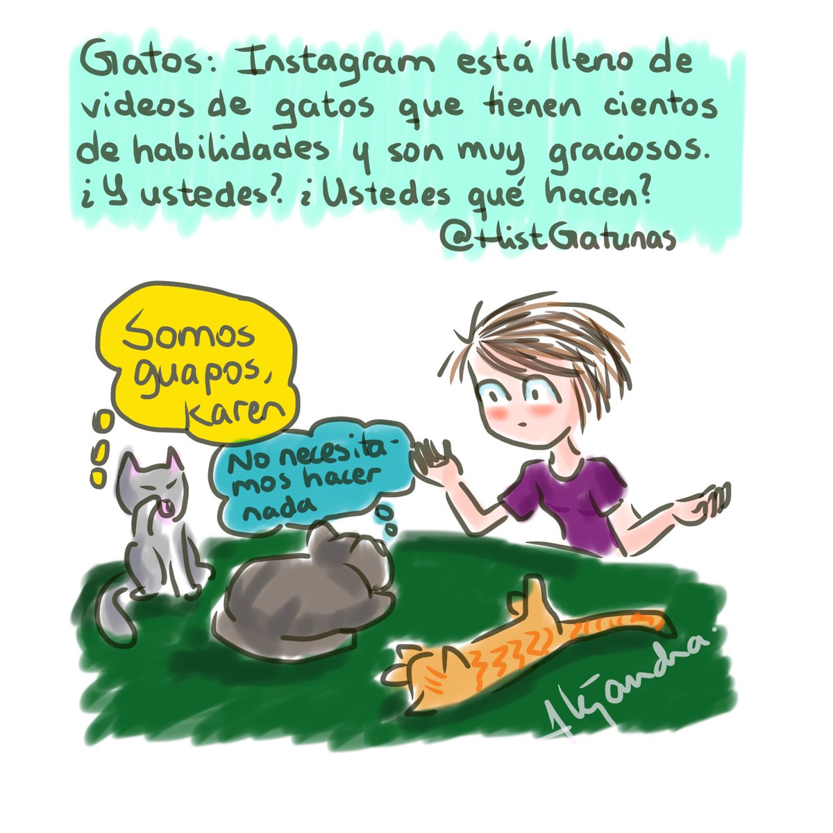 Historias Gatunas tweet media