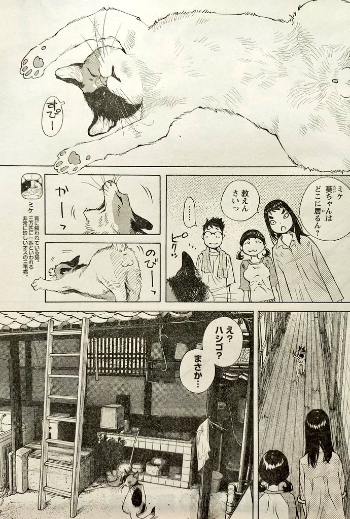 小林俊彦staff 4 6巻発売 Kokutisennyou Twitter