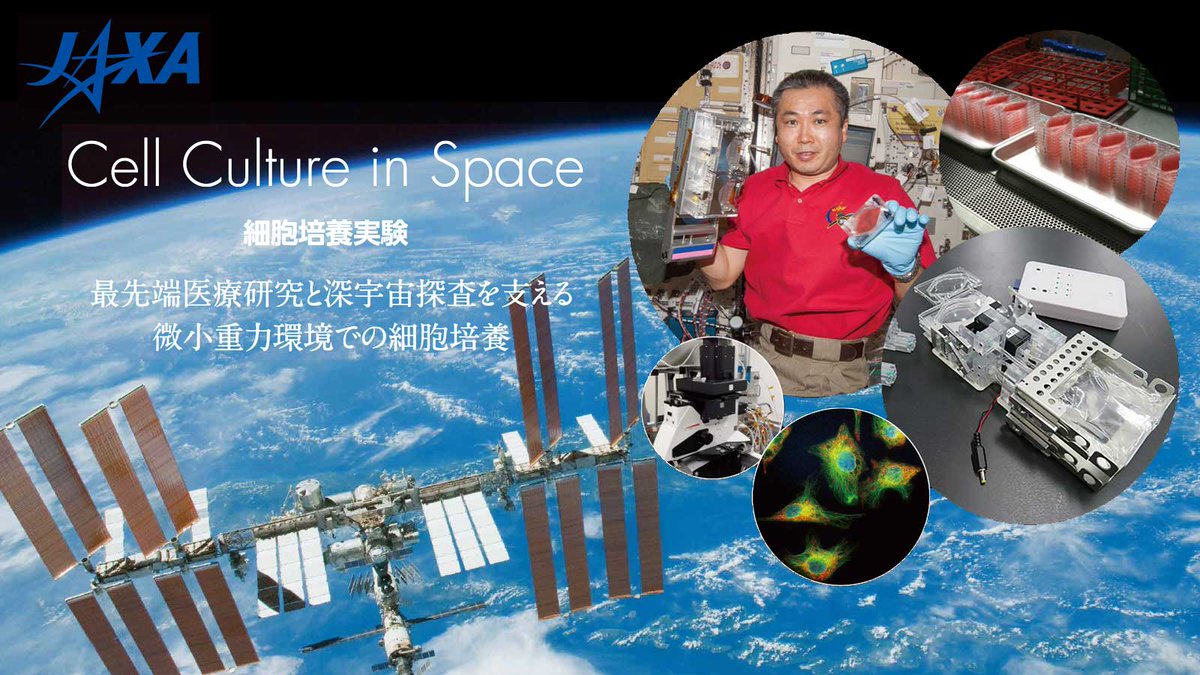 JAXA_Kiboriyo's tweet photo. \今週は学会ウィーク!デジタルブース出展情報/
3⃣第21回日本再生医療学会総会
3/17(木)~19(土) ※要参加登録(有料)
https://t.co/0QCqbGbKaq
JAXAブースでは「きぼう」ライフサイエンス実験担当による宇宙実験や軌道上装置の紹介や、個別相談受付を予定しています!
#JSRM #きぼう利用 https://t.co/z4lPLeQlZy