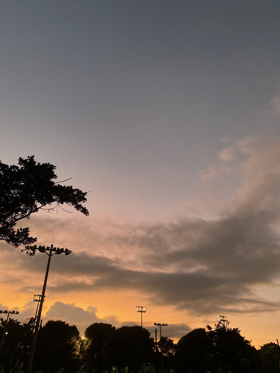angelaa3_'s tweet photo. 💛 https://t.co/7PWO3nPiuI