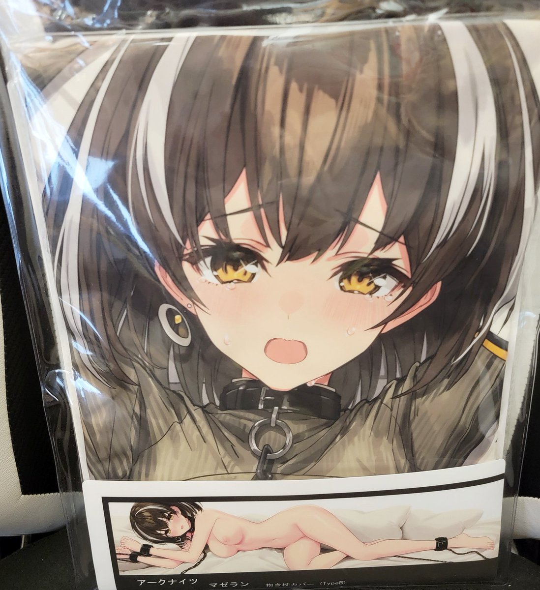 Tier_TA's tweet photo. I guess I'd say Ch'en is my favorite Arknights character but I don't have her - at least in her base form - but I do have Magallan and I like her a lot. https://t.co/PNx2kqkagy