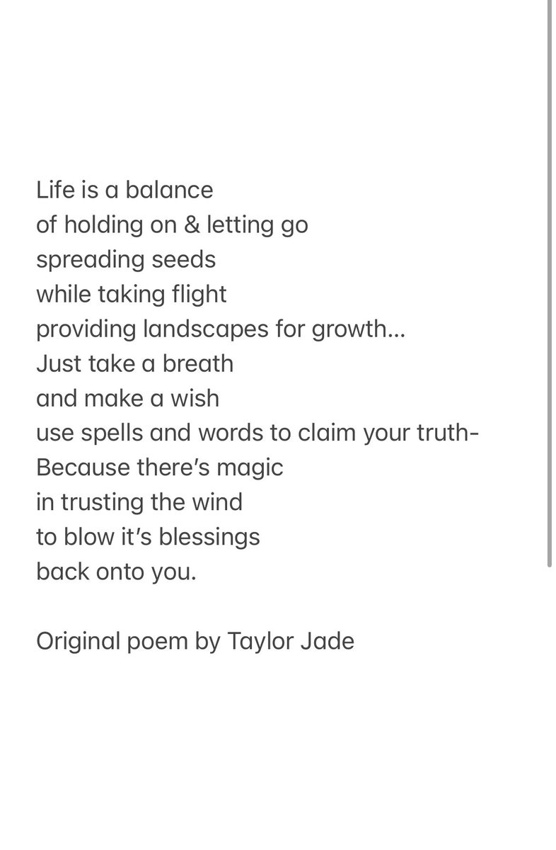 Dandelion, In Bloom
Portrayed by Kacie Shea Ryan 🌬🤍
Available for .13eth on <a href="/opensea/">OpenSea</a> 
in honor of #InternationalWomensMonth 

opensea.io/assets/ethereu…
Creative Directed by me
Shot by @anaiah_lynne 
Flower transformation by <a href="/livaviles/">Liv Aviles</a> 

#nft #womeninnfts #nftcreator