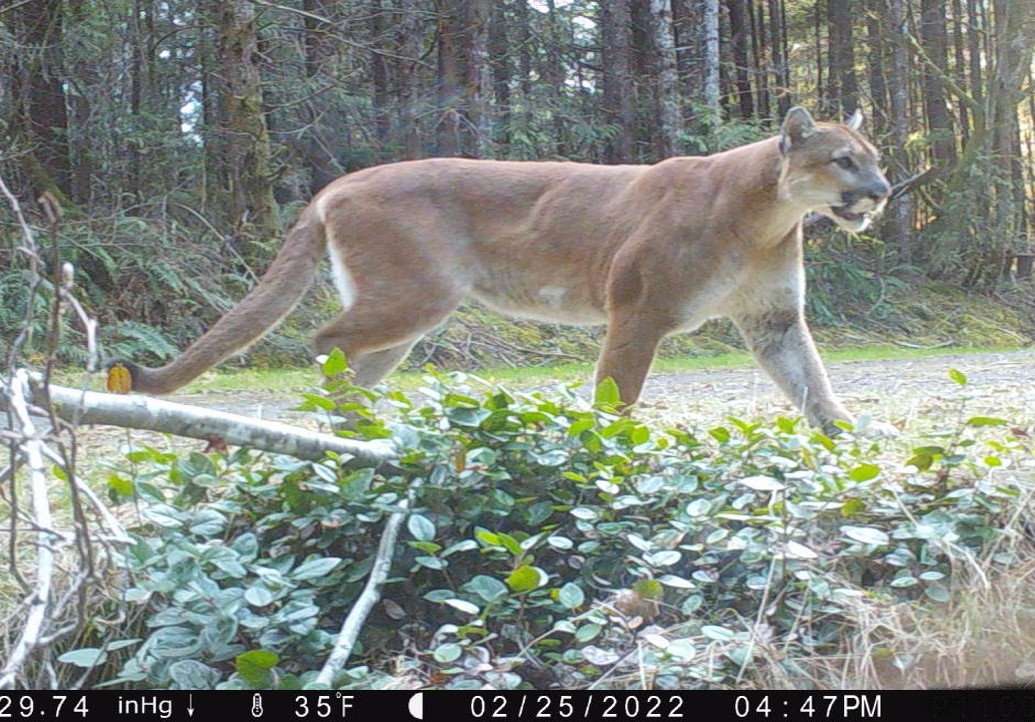 Washington State Dept. of Natural Resources tweet media