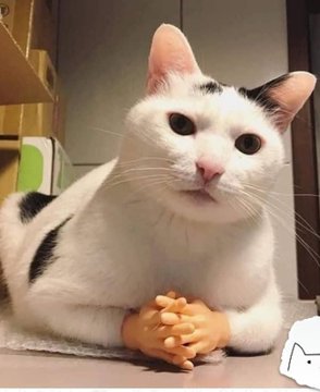 moderntherapyy's tweet photo. @hotlikechocl اگه کسی نگفته که خب خودمون خواستیم و خوشحالیم 
شما هم بیش ازین اسباب خوشحالیمونا فراهم نکن لعنتی https://t.co/F0Xj3zbIfN
