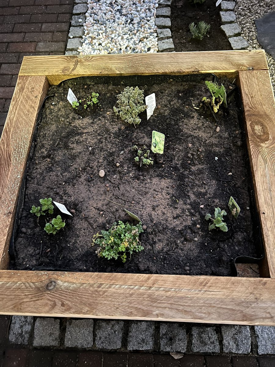 CatrionaRowland's tweet photo. The #BHWellbeing #GlobeGarden transformation is nearly completed โ
@LtdKrh with not only being a feature garden ๐ชด but also a space where staff can see herbs grow & use for they meals. #FunctionalGarden #WeGrow @geraldi134 @AAttfield @S_AshtonNHS https://t.co/EkYwcLk3T0