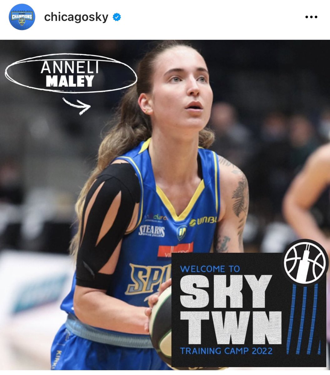 elthamwildcats's tweet photo. Could we be any prouder? Go you good thing Anneli Maley!

From domestic juniors to @NBL1 all in her own local backyard, via @BendigoSpirit &amp; now a shot at the best league in the world

#eltham #montmorency #nillumbik #banyule #basketball https://t.co/hf6k4a0g7v