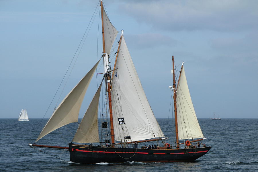 Silvery Light Sailing tweet media