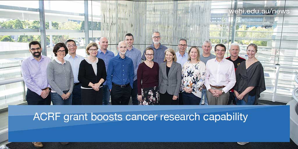 WEHI has established a new #cancer program that will work towards improving treatment options for cancer patients &amp; understanding why some people form drug resistance to these therapies. The project is enabled by a $3.5M <a href="/Cancer_Research/">Australian Cancer Research Foundation</a> grant. #ACRF 

wehi.edu.au/news/acrf-gran…