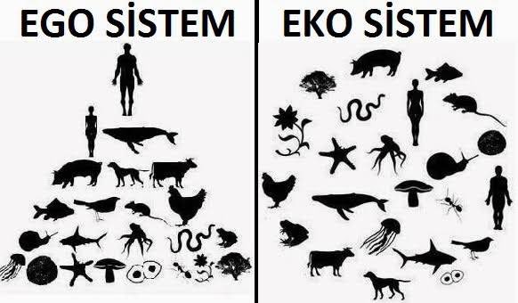 burakarslantwit's tweet photo. #HelpTwitter Halkı kin ve nefrete teşvik normalleşebilir mi? 
- Zehirlensin demek “Fikir özgürlüğü müdür?” 
- Sokakta köpek istemiyorum demekle havada kuş istemiyorum demek arasında fark var mıdır? 
ELİNSAF! https://t.co/HcBaT1xW1W