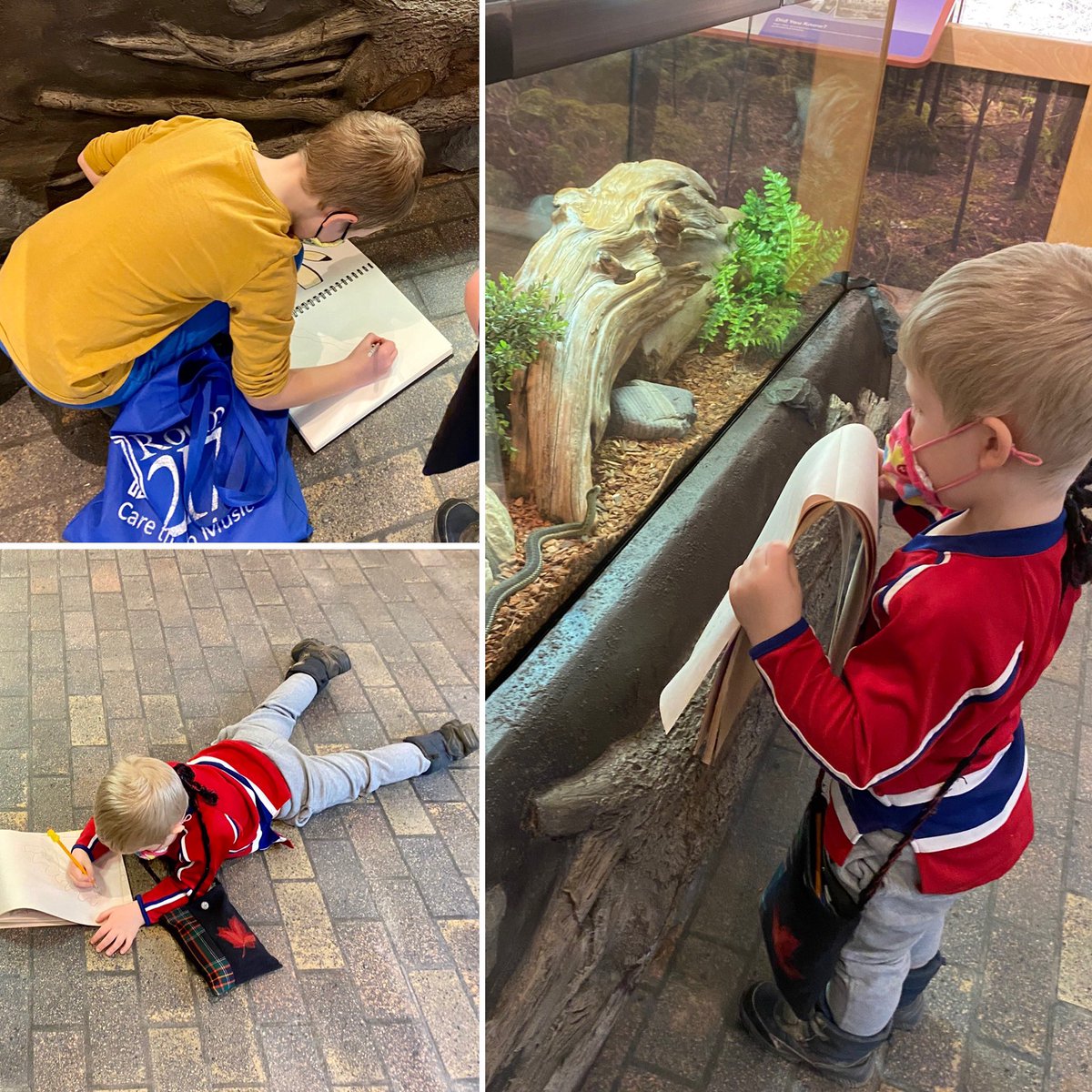 berducky's tweet photo. Always something to sketch at the museum. The snake approved of this  drawing of him (ps we’re working our way up to the #nsmastodon @tim_fedak)

#marchbreak #museumsorbust #sketching #snake #littleartists  #museumofnaturalhistory #halifax #novascotia @MNH_Naturalists @NS_Museum https://t.co/lkD0ch06lK