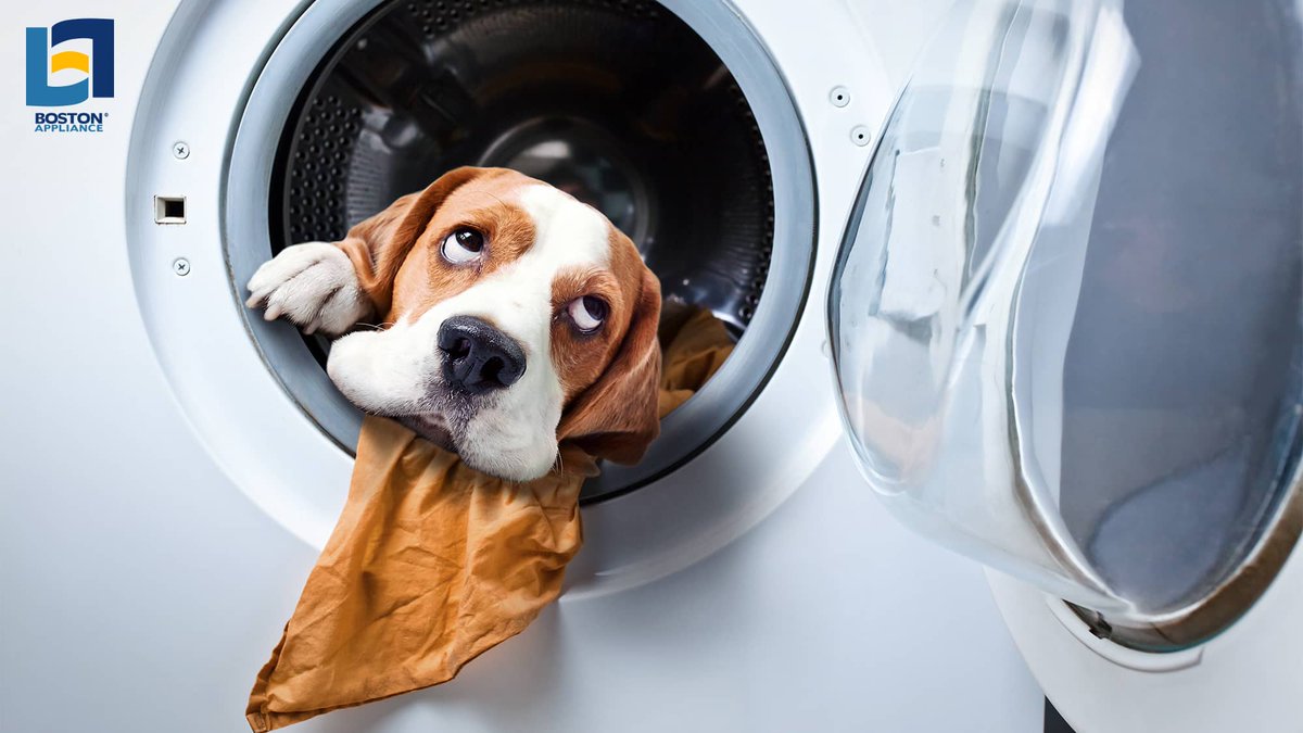 BOSappliance's tweet photo. Do you ever wonder how long your appliances should last? Or what you can do to help them perform their best? Check it out on the Boston Appliance Blog!

#appliances #ApplianceMaintenance #BostonAppliance #washingmachine

https://t.co/l9ajo1OXpA https://t.co/octoKfrBJ0