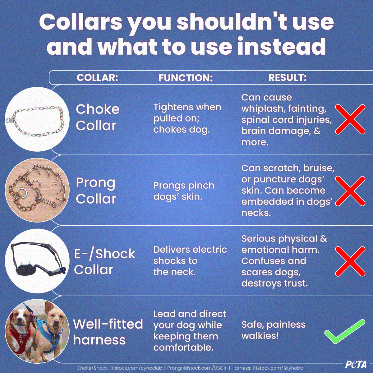 peta's tweet photo. Don’t choose a collar that hurts your dog. https://t.co/hKI39FiKW1