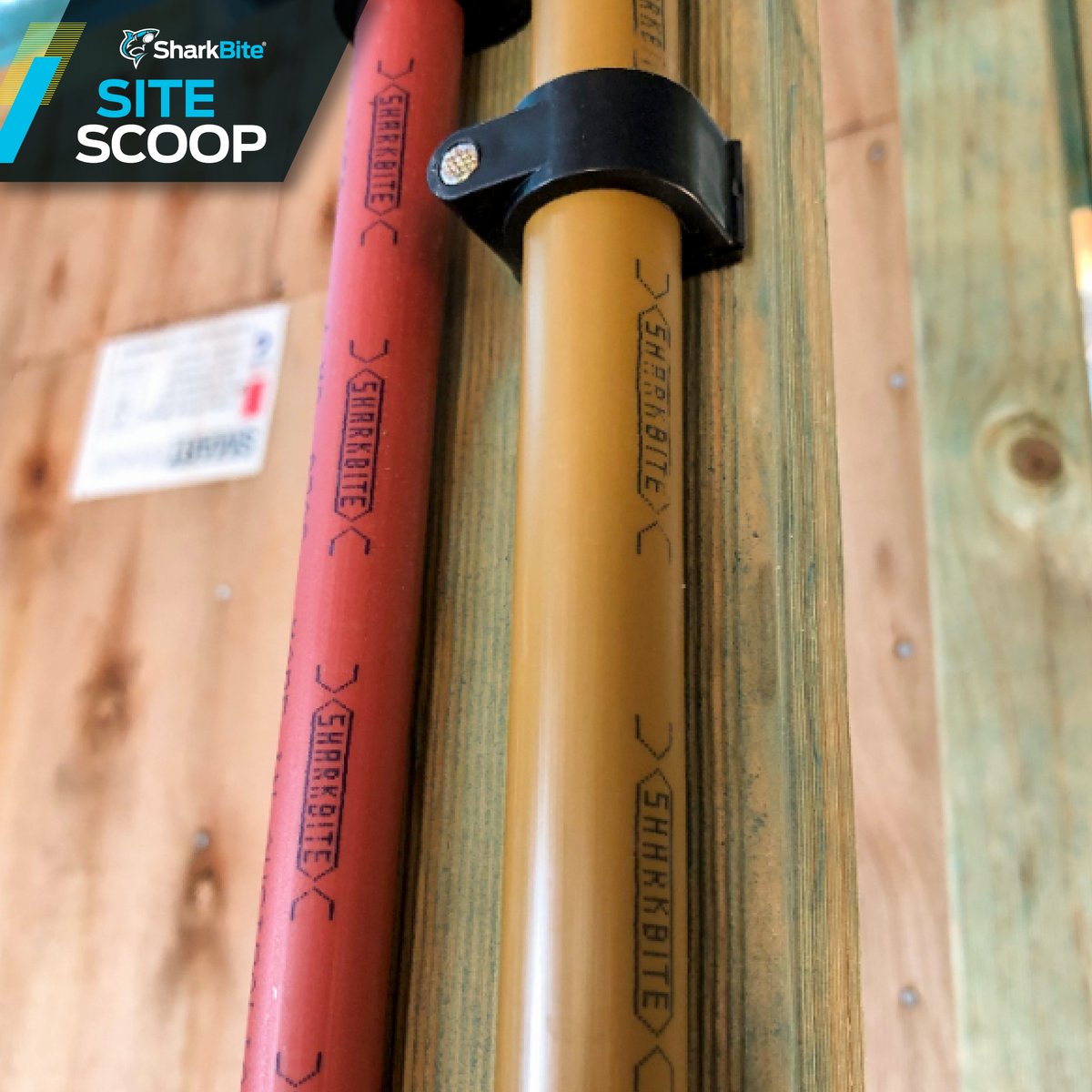 SharkBiteAUS's tweet photo. Interested in speeding up rough-in times? Look no further than SharkBite pipe and fittings.
 
#NothingBeatsTheShark #CutPushDone #SharkBiteAustralia #SharkBiteSiteScoop https://t.co/dLrJ0gncjM