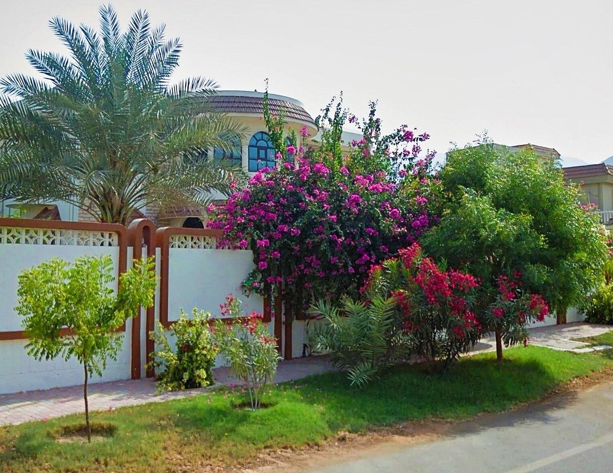 Qadisiya - Sharjah - UAE
🌺 🌺 🌺 🌺 🌺 🌺