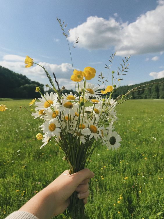 etherealdior's tweet photo. the life i want to escape to https://t.co/YXuQZFWzjG