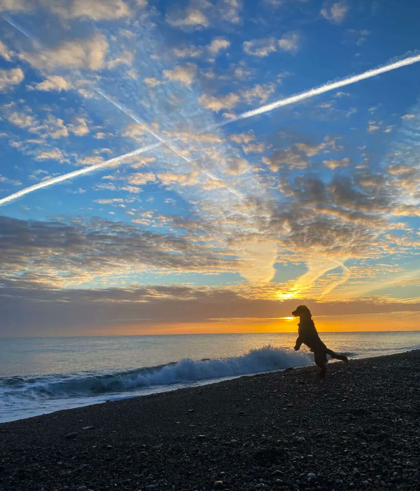 StormHour tweet picture