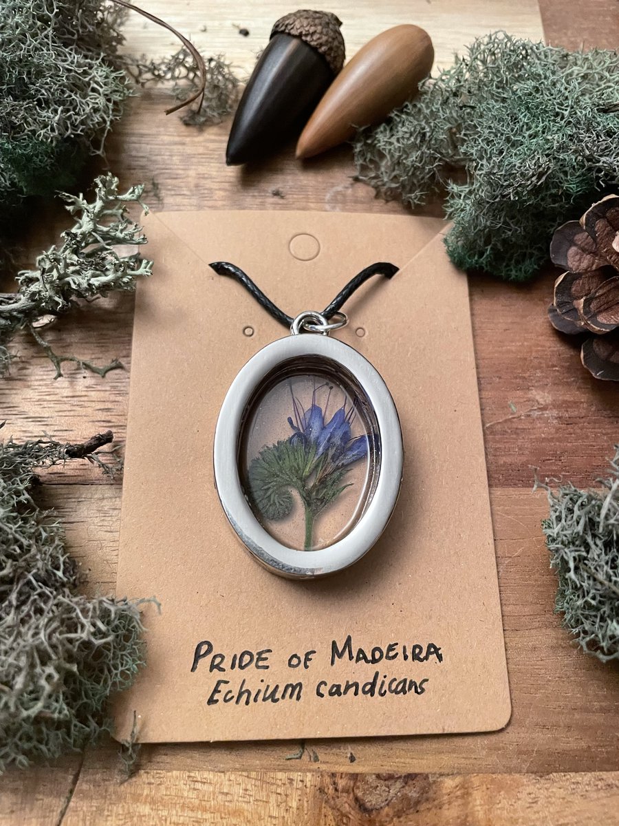 LokiEnoki's tweet photo. Queer lil forest trickster spirit here spreading nature with love #sciart

Website (temp): https://t.co/DQofYaMzZD 
Instagram: lokienoki
Patreon: https://t.co/lYyLS7ubL6
Nature Shop: https://t.co/ym0tiQPPOQ 
Email: contact@lokienoki.com https://t.co/hDkGkLRVmm