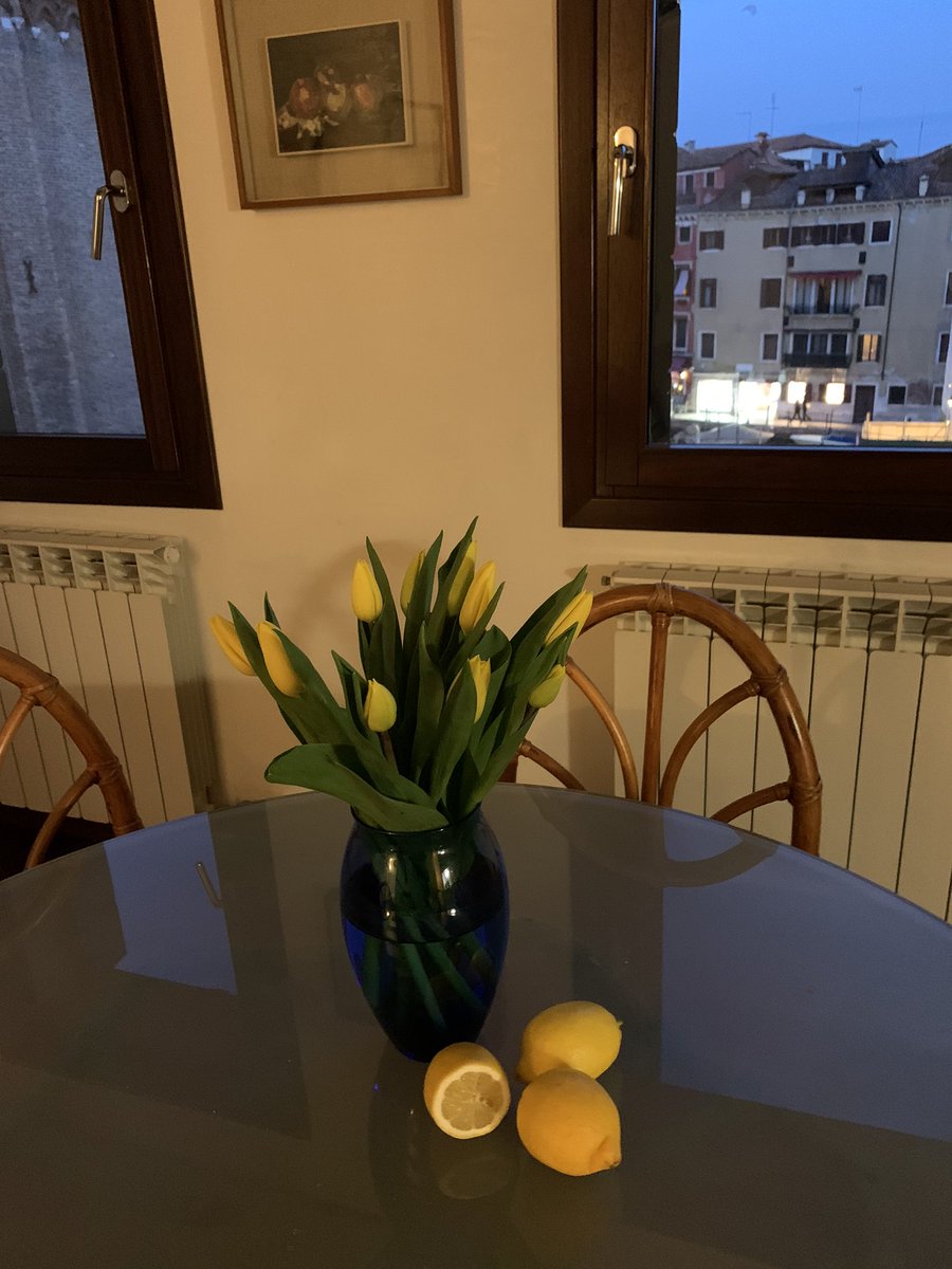JillKerby's tweet photo. Goodnight from Venice… and #MyRoomWithAView https://t.co/s31S6XJxqW