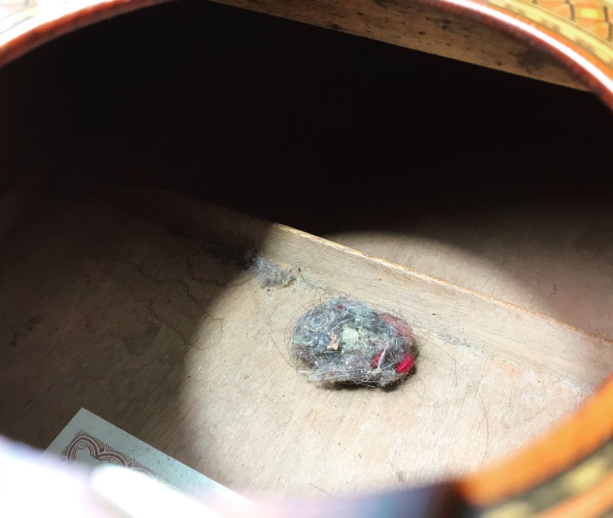 ABGuitartech's tweet photo. Lurking toneball. Carbon dating puts this from the mid 70’s era. 

#toneball #tone #1970s 
#classicalguitar #guitartech #guitarrepair #guitartechnician #guitarrepairs #guitarworkshop https://t.co/jHth0lCq8I