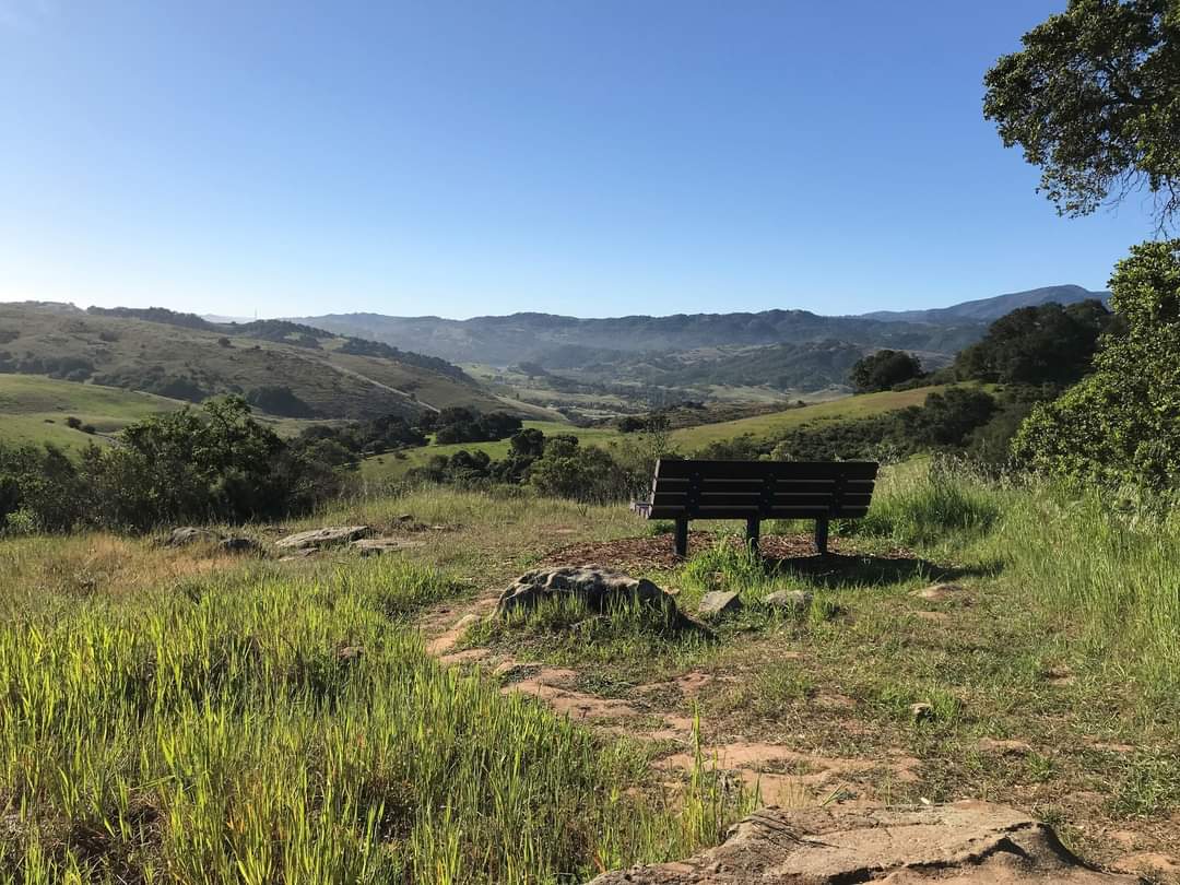 SCCParks's tweet photo. On May 1, weโre launching the 2022 #PixInParks Magnificent Seven hiking challenge. Hereโs a sneak โpeakโ of your first adventure. Can you guess the #SantaClaraCountyPark where this photo was taken?
#sccparks #PixInParks #gooutsideandhike #nature #hikingchallenge https://t.co/bE1LQr3x27