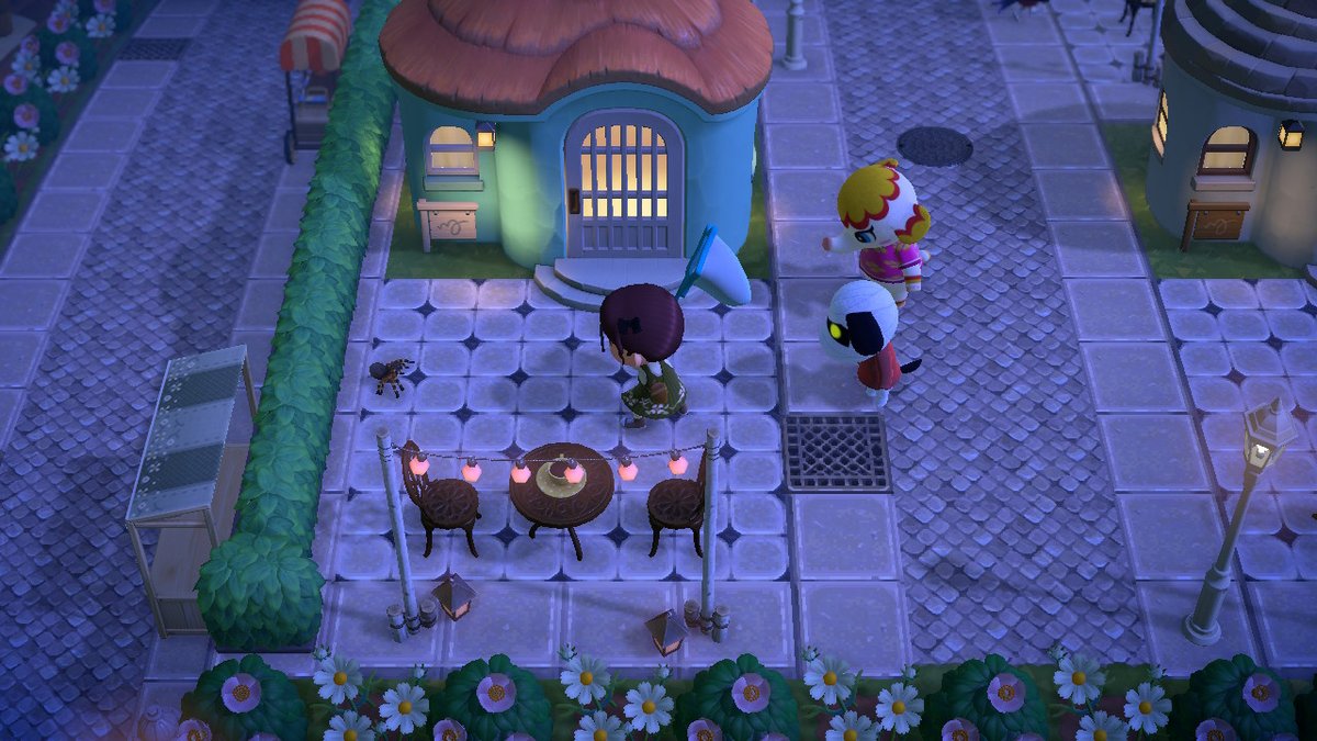 Precocious_LC's tweet photo. I guess this is the night bitches die.
It's me.  I'm bitches. 

 #AnimalCrossing #ACNH #NintendoSwitch https://t.co/upCXHbPo0K