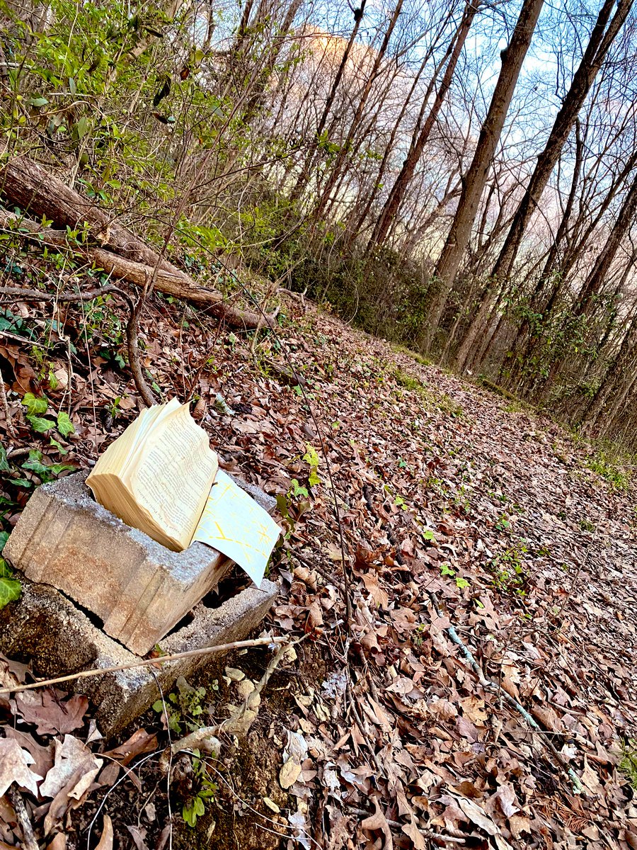 And just like that, I’ve landed on the Barkley Marathon route. Somebody come get me. #bm100 #barkleymarathons #barkleymarathon