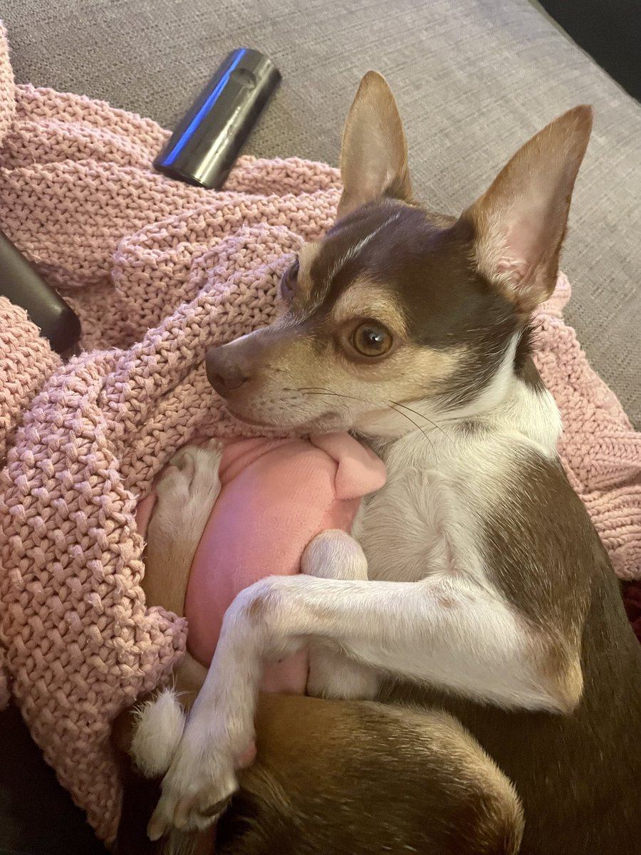 Blaine_Volpe's tweet image. Artichoke hopes you join ⁦@MActionProject⁩ for #MAPactionweek events this week!