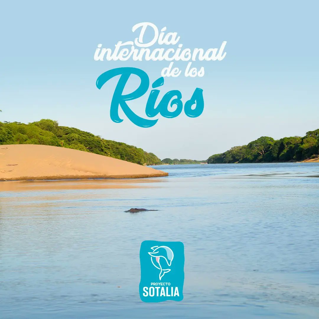 Los ríos, fuente de vida, un medio de transporte y comunicación. Ecosistemas frágiles actualmente muy amenazados, hoy es un día para recordar su importancia.