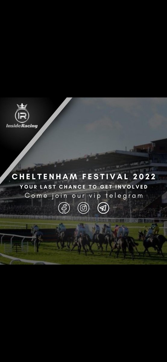The Racing Plan 🐶 🏇 tweet media