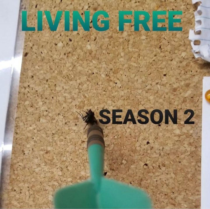 livefreeinc's tweet photo. March 18th.
Catch up on Season 1 now on @DrakoloidAZ: https://t.co/UAeU93o132

Watch Season 2 here: https://t.co/0hnowXR3Cg https://t.co/8pdCaINZc7