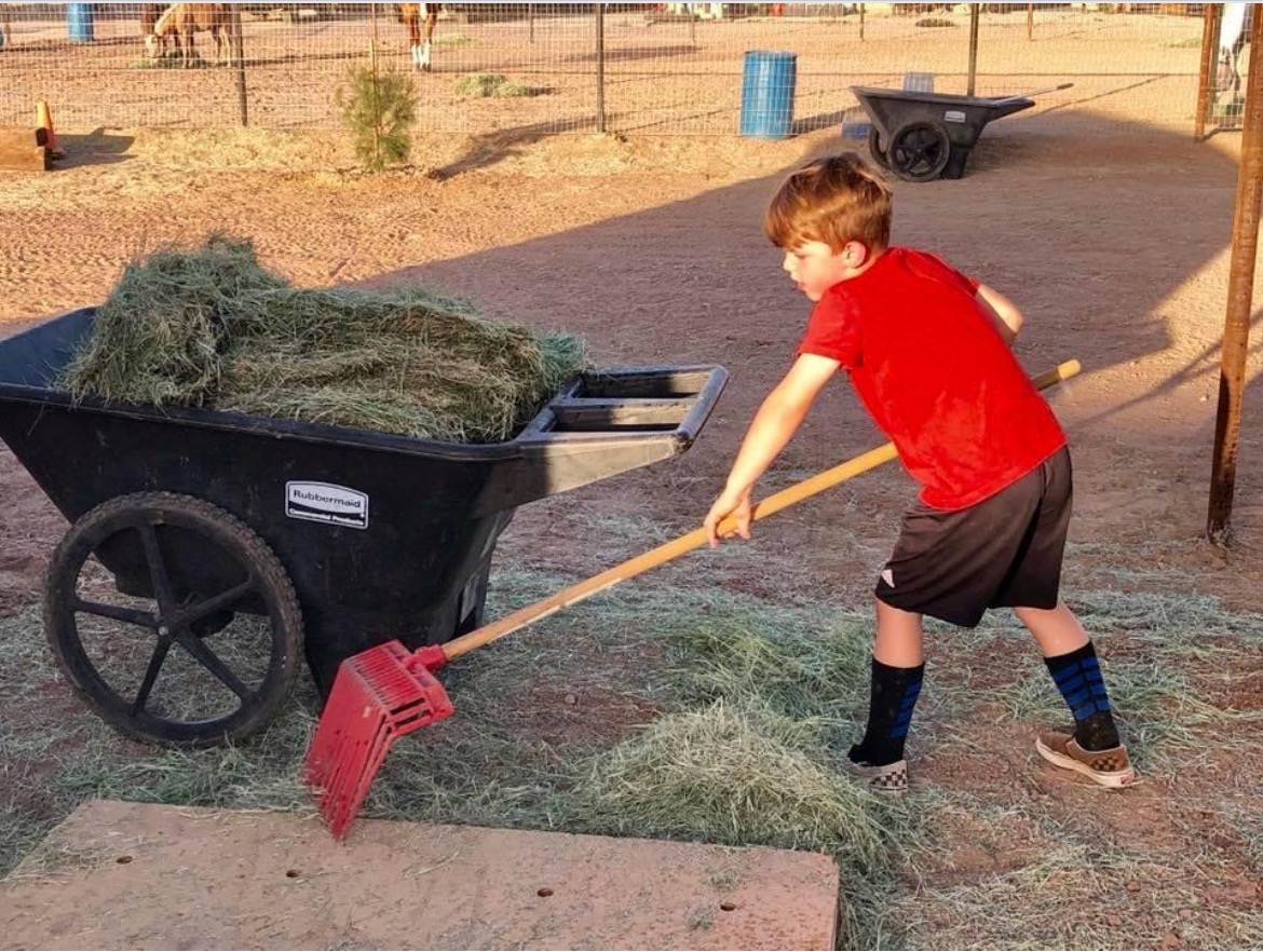 twohearts_horse's tweet photo. The barn is where we do our chores, learn responsibility and practice good character. But most importantly, it is where we teach young people to foster awareness, problem solve and to connect with themselves and others. 
#horsetherapy #hope #healing #horses #givehope #life https://t.co/iSQAHzg7Gj
