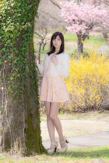 コスプレイヤー紗雪のTwitter画像12