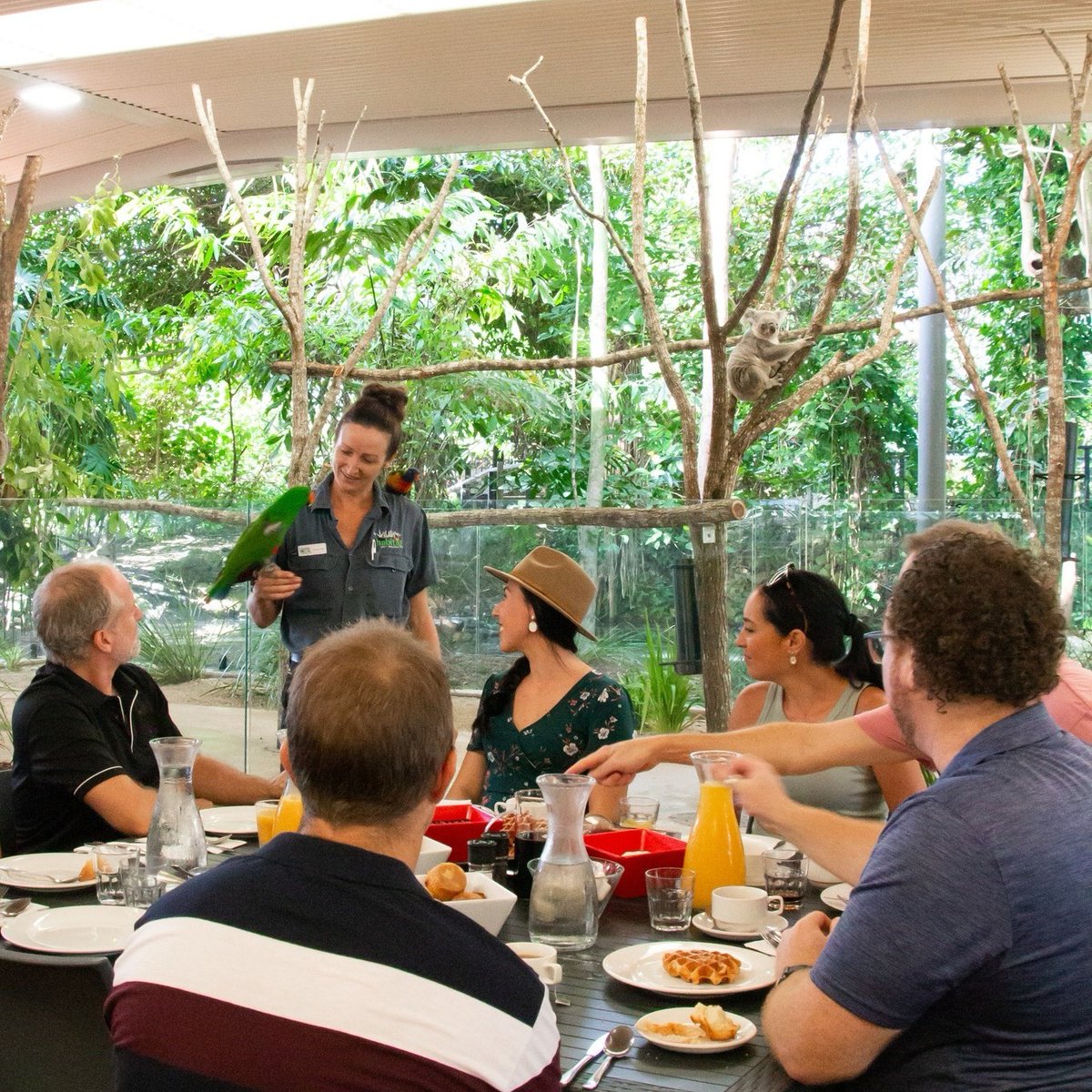 Wildlife Habitat team is excited to be bringing you an ALL NEW Breakfast With The Birds Experience! 
For more information please visit our website wildlifehabitat.com.au/.../breakfast-…
🦜🦜🦜🐨