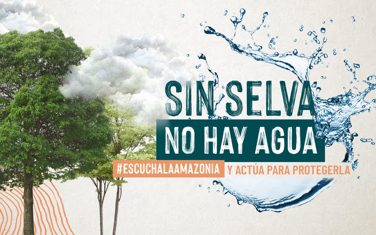 ecopracticas's tweet photo. #SELVAS #AGUA #VIDA #REFORESTACION #RESTAURACIONBOSQUES
#CAPTURAECARBONO #Cambioclimatico #futuro https://t.co/SQW5dPnsh8