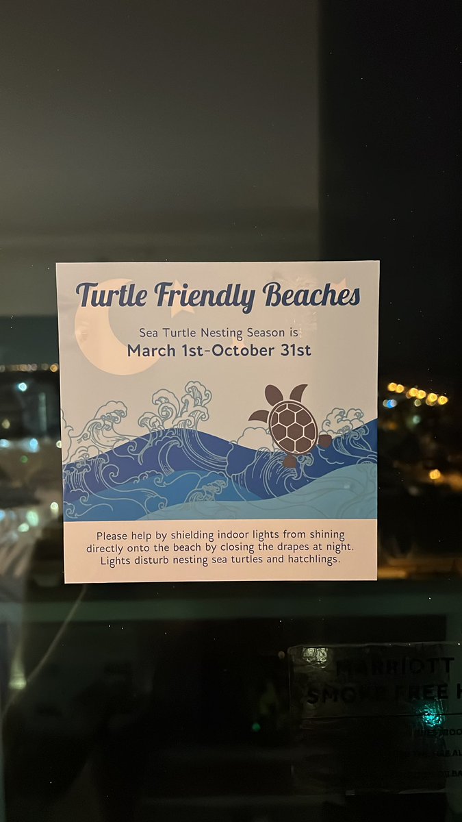 brookewhitneyy7's tweet image. Light pollution awareness and how it affects sea turtle hatchlings at my hotel over spring break!! #ees028