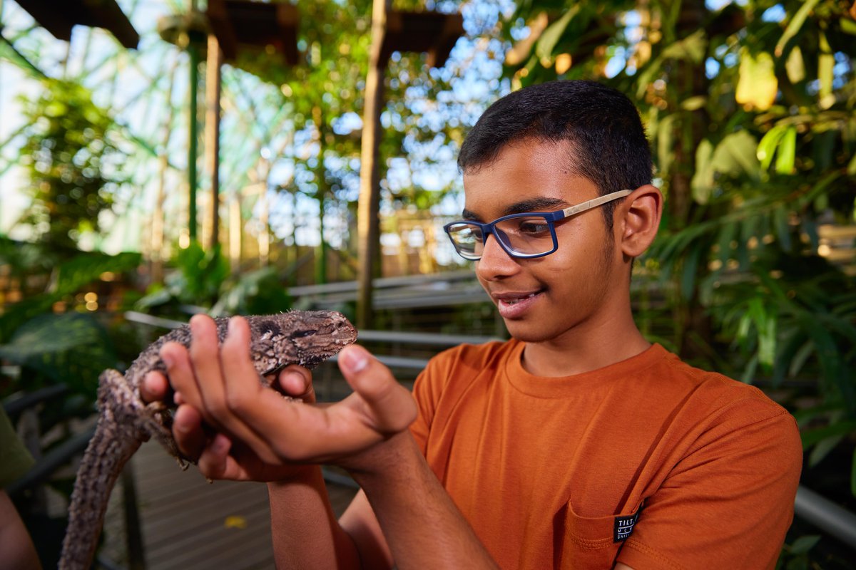 Ever wondered what it’s like to be a wildlife keeper? Keepers In Training program is available on weekends outside of QLD school holidays, and on Tuesday and Wednesday during school holidays 🐨🐊

Visit cairnszoom.com.au for more information 🙆‍♀️🤓

#exploretnq
