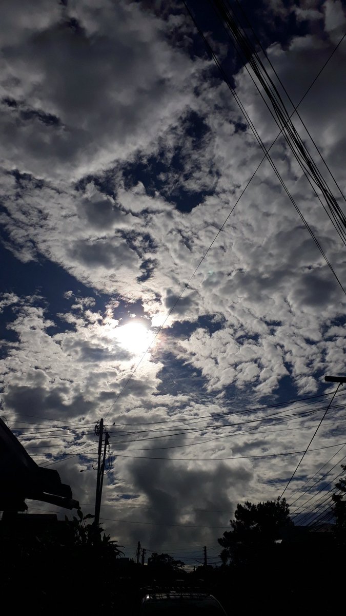 Swane47688833's tweet photo. Morning view😍😍😍
#NaturePhotography #Photography
#CloudsFormation #SkyAndClouds
#CloudsArt #NatureBeauty #NatureLover https://t.co/NcazsNgqtp