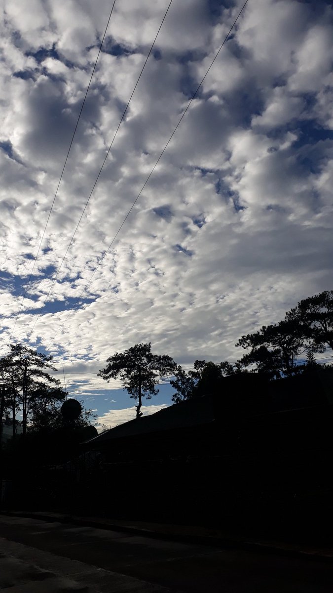 Swane47688833's tweet photo. Morning view😍😍😍
#NaturePhotography #Photography
#CloudsFormation #SkyAndClouds
#CloudsArt #NatureBeauty #NatureLover https://t.co/NcazsNgqtp