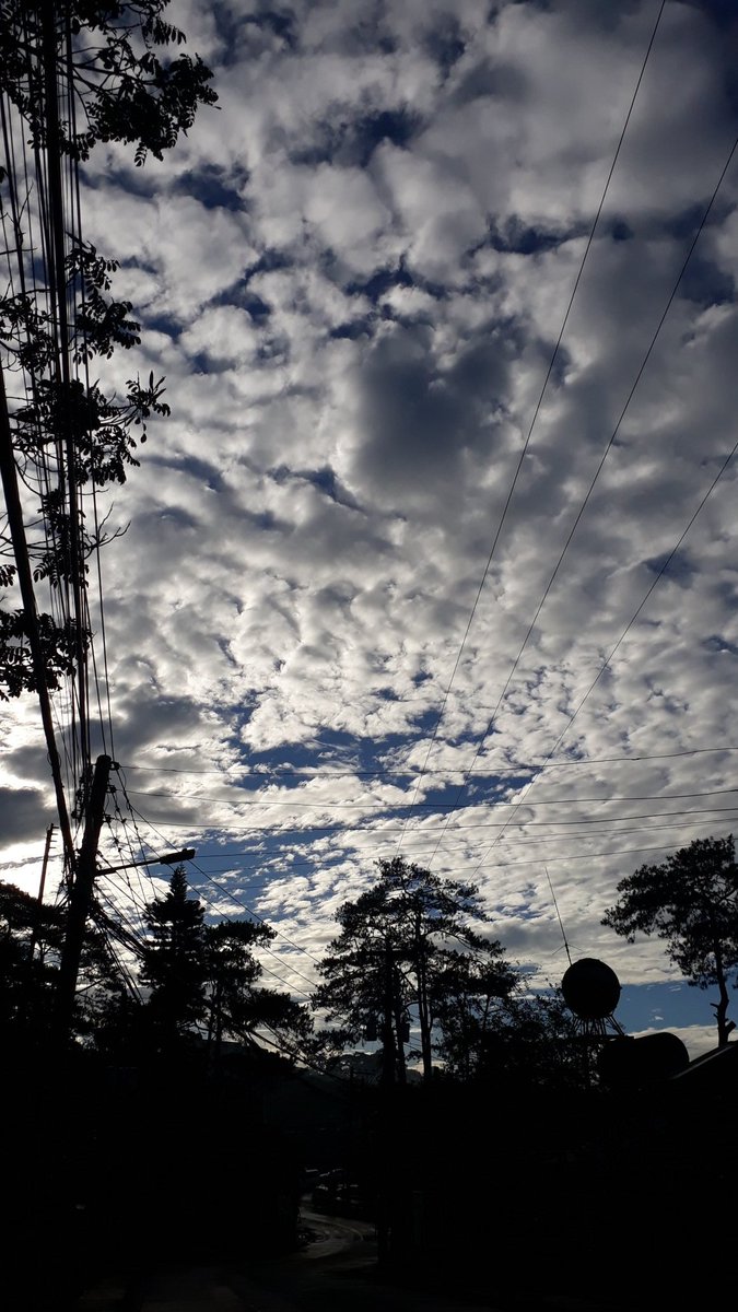 Swane47688833's tweet photo. Morning view😍😍😍
#NaturePhotography #Photography
#CloudsFormation #SkyAndClouds
#CloudsArt #NatureBeauty #NatureLover https://t.co/NcazsNgqtp