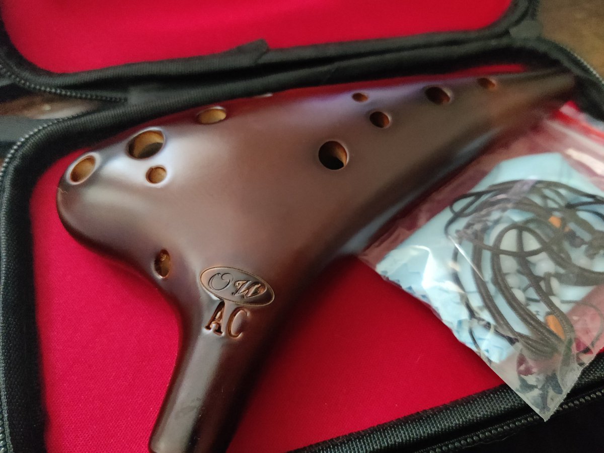 Smol_Chaos523's tweet photo. Sweet new birthday gift! Can't wait to learn to play the ocarina. #pidayismybirthday https://t.co/kDIbH42KGQ