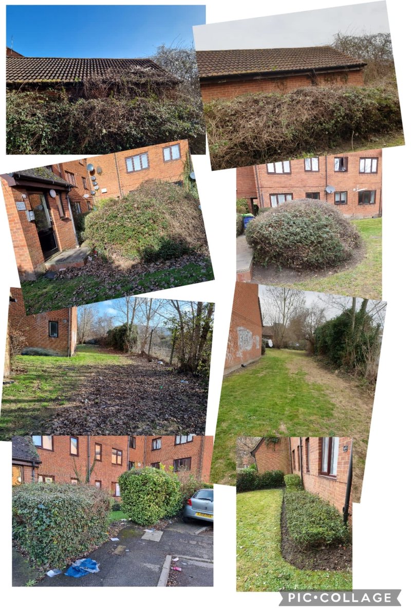 Fantastic work by this grounds maintenance team to turn a neglected residential block garden around ready for the Spring. Our regular visits will now ensure it doesn't deteriorate again.
#groundsmaintenance #propertymanagement