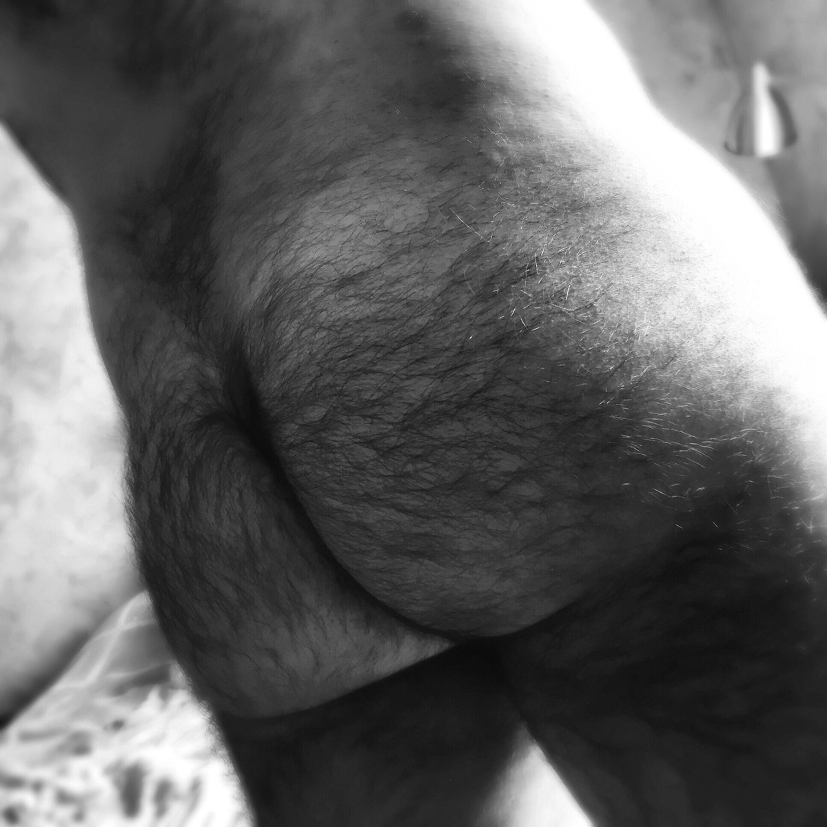 #badass #gayman #HairyGayAsshole #hairyman #gaybearded #gaybear #otters #gaymen