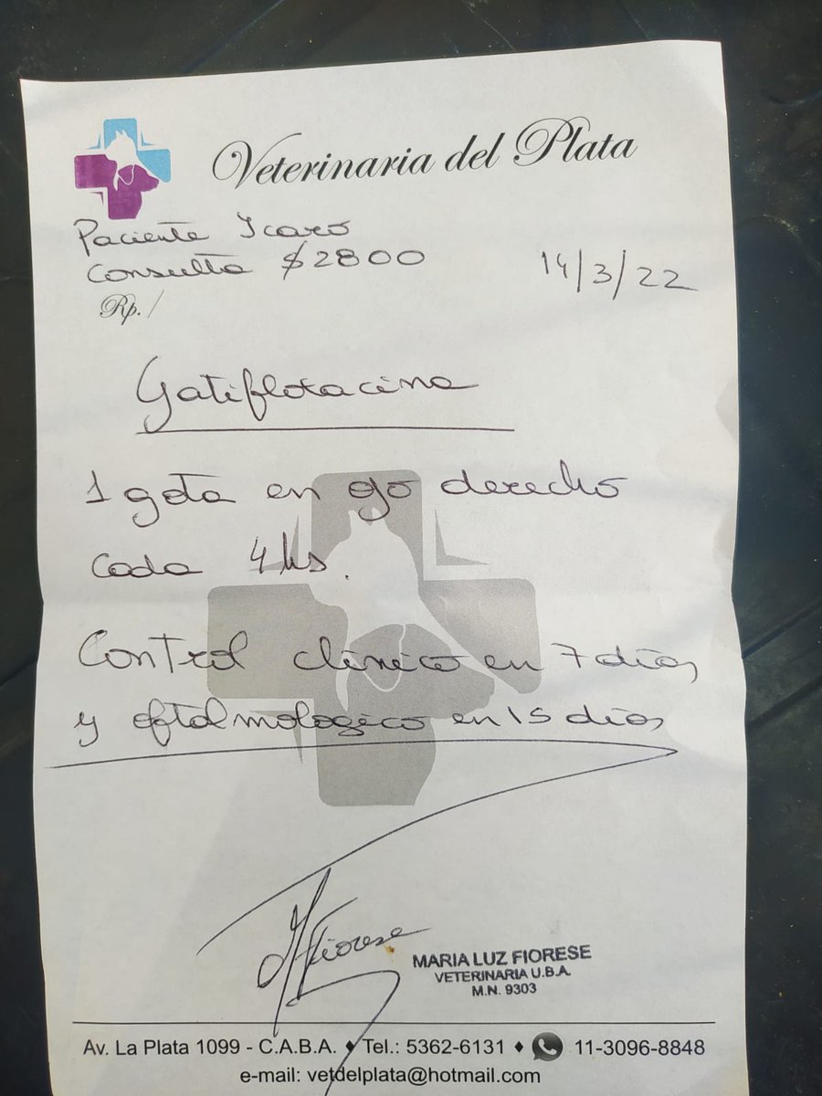 Nuevo caso
#ICARO
El sábado por la noche nos llegó un alerta 
Un bebé desnutrido y con problemas en sus ojitos 🥺
 Lo más probable es que no recupere la vista, tiene un edema y posiblemente una perforación 💔
Le mandan fuerza a nuestro enanito?
Te amamos Íca♥️
