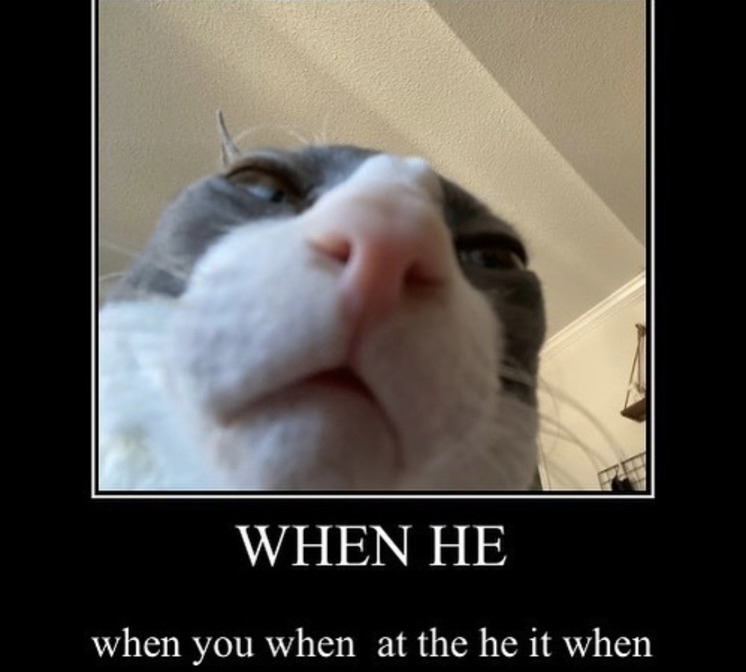 MichaelSRage's tweet photo. @_niamhyc troll get trolled https://t.co/zvXxi49GE8